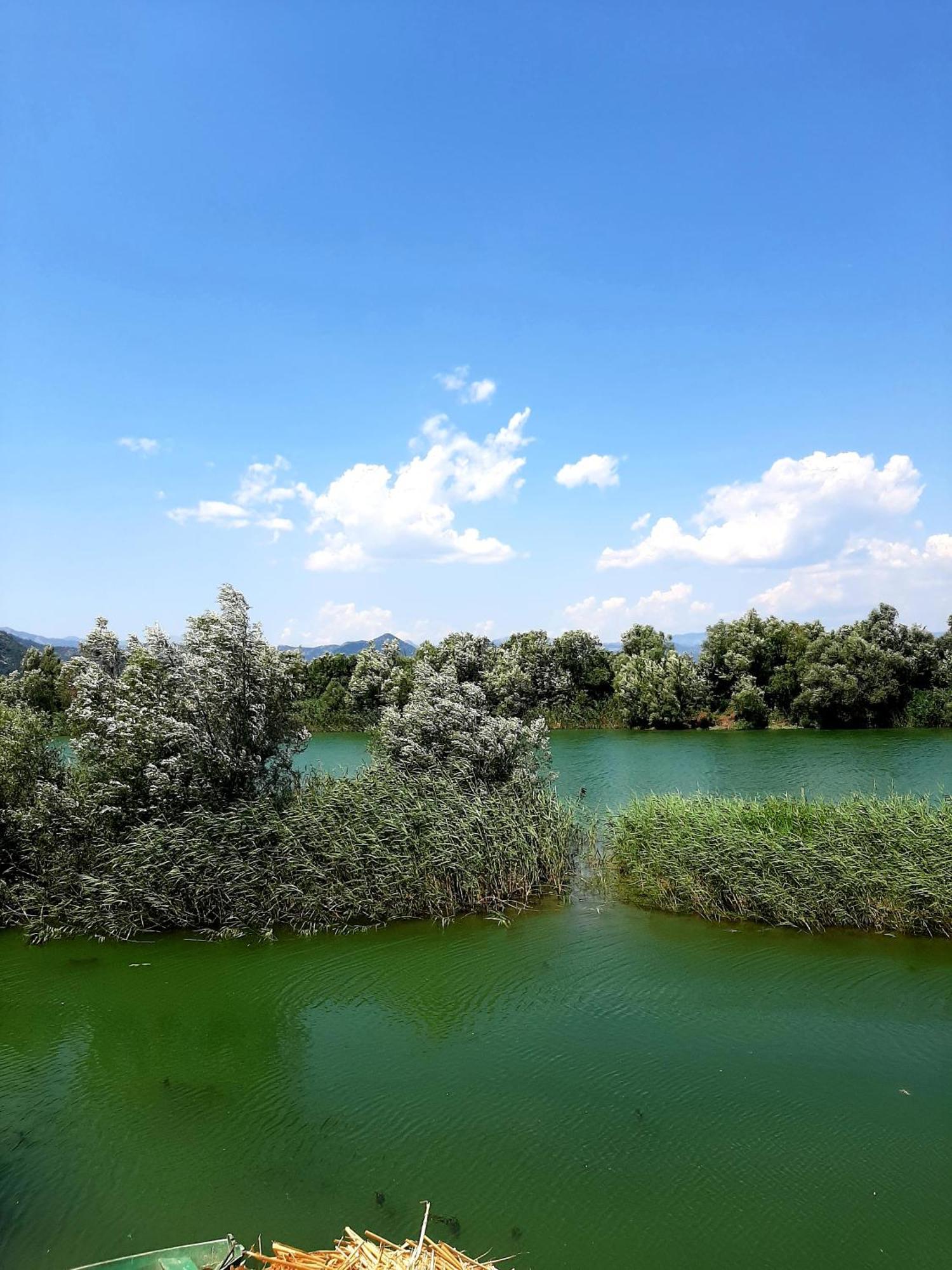 Skadar Lake House Virpazar Exteriör bild