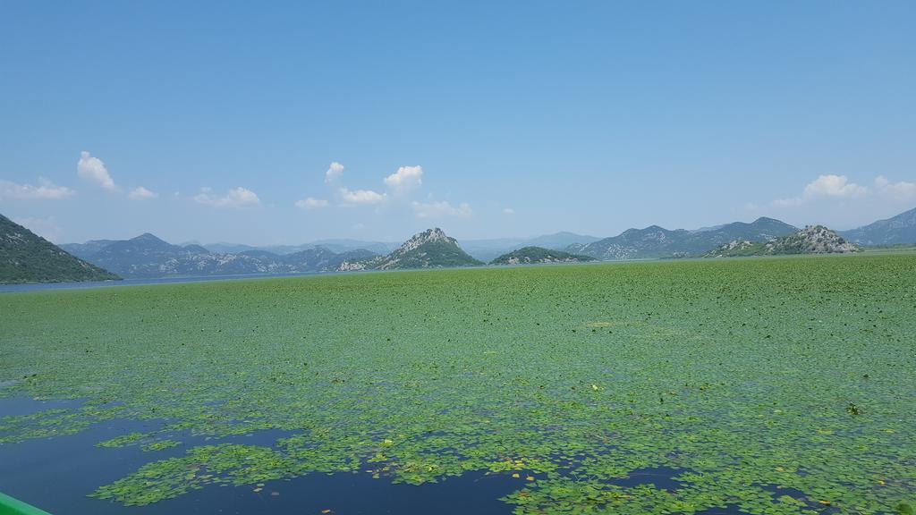 Skadar Lake House Virpazar Exteriör bild